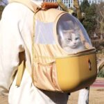 PetseekTravelCatBackpackf.jpg