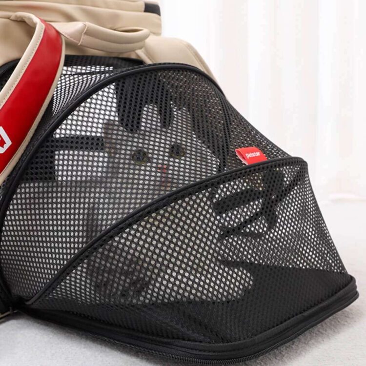 PetstarCatBackpackb.jpg PetstarCatBackpackb.jpg