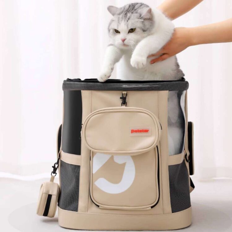 PetstarCatBackpackc.jpg PetstarCatBackpackc.jpg