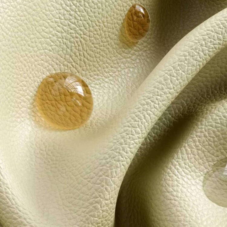 PopocolaCatBackpackd.jpg PopocolaCatBackpackd.jpg