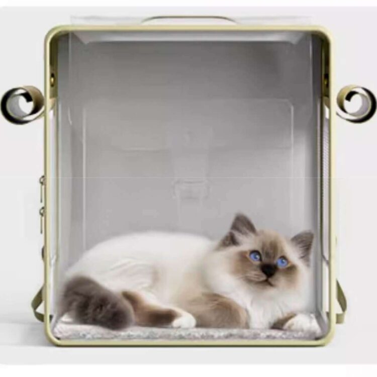 PopocolaCatBackpacke.jpg PopocolaCatBackpacke.jpg