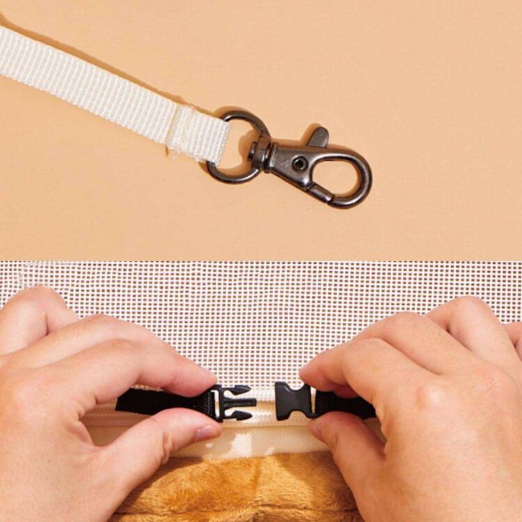 PurLabCookieCatCarrierf.jpg PurLabCookieCatCarrierf.jpg