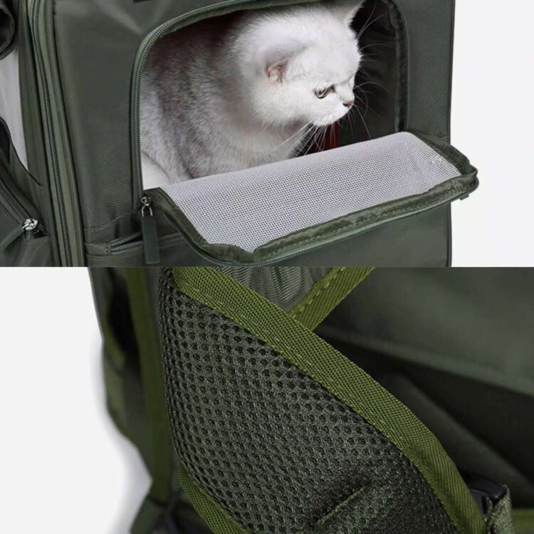 PurrPalaceExpandableCatBackpackw.jpg PurrPalaceExpandableCatBackpackw.jpg