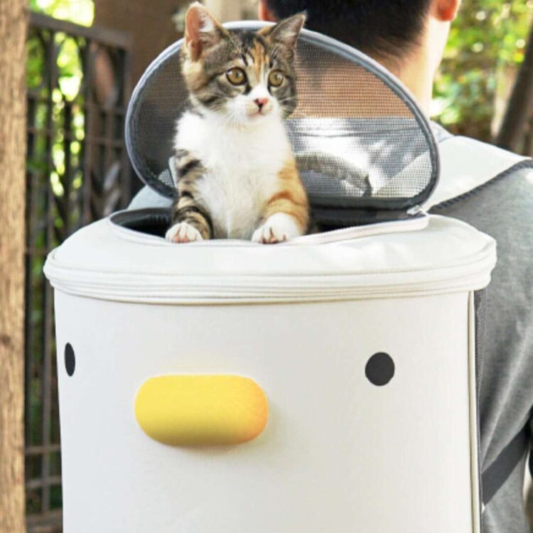 PurroomCatBackpackc.jpg PurroomCatBackpackc.jpg