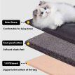 PurrpyCatExplorerBackpacke.jpg