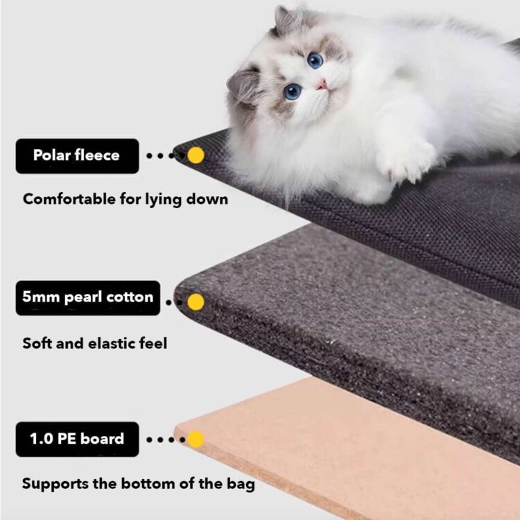 PurrpyCatExplorerBackpacke.jpg PurrpyCatExplorerBackpacke.jpg