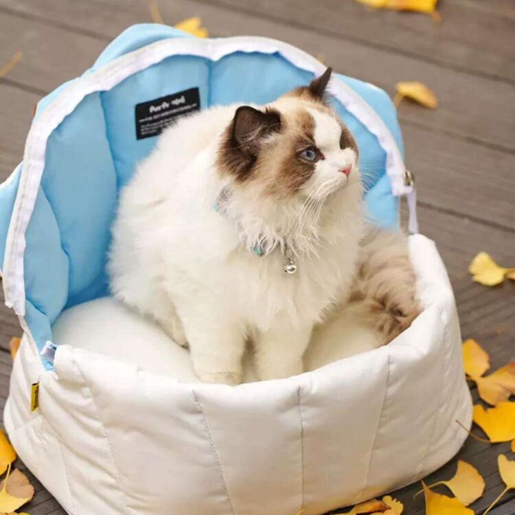 PurrpySeashellCatCarrierc.jpg PurrpySeashellCatCarrierc.jpg