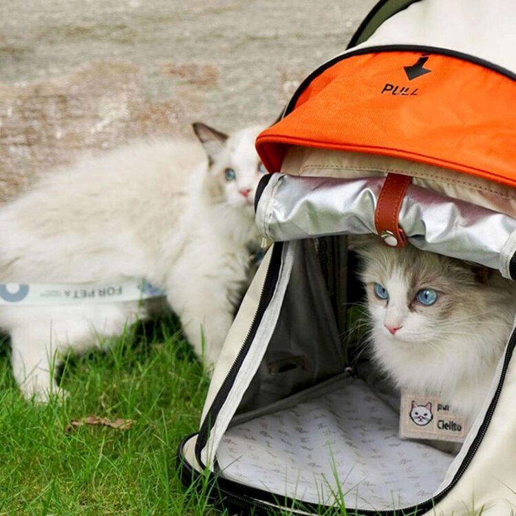 PurrpyTentExpandableCatBackpackc.jpg PurrpyTentExpandableCatBackpackc.jpg