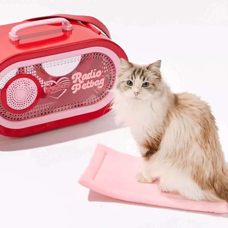 RadioMoMoCatCarrierf.jpg RadioMoMoCatCarrierf.jpg
