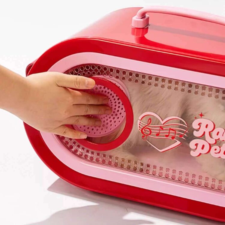 RadioMoMoCatCarrieri.jpg RadioMoMoCatCarrieri.jpg