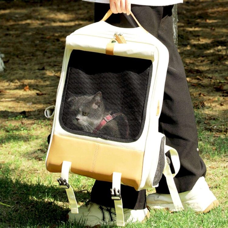 TinyPetcatbackpackg-min.jpg TinyPetcatbackpackg-min.jpg