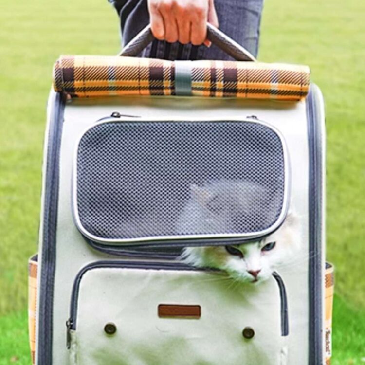 TouchCatCheckeredCatBackpacke.jpg TouchCatCheckeredCatBackpacke.jpg