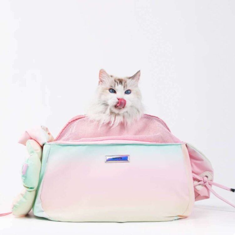 TouchDogAuroraCrossbodyCatBagCarrierc.jpg TouchDogAuroraCrossbodyCatBagCarrierc.jpg
