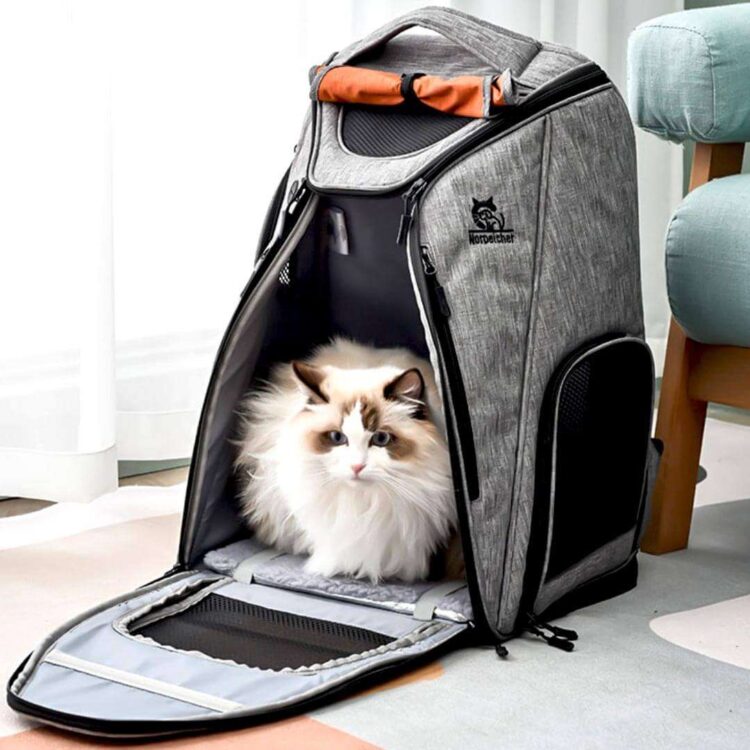 UrbanWandererCatBackpackb.jpg UrbanWandererCatBackpackb.jpg