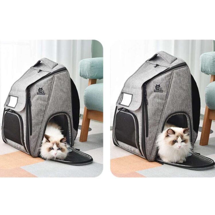 UrbanWandererCatBackpackd.jpg UrbanWandererCatBackpackd.jpg