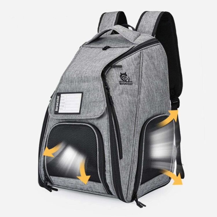 UrbanWandererCatBackpacke.jpg UrbanWandererCatBackpacke.jpg