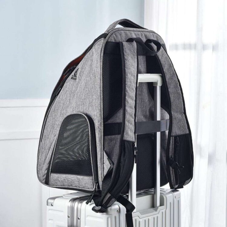 UrbanWandererCatBackpackh.jpg UrbanWandererCatBackpackh.jpg