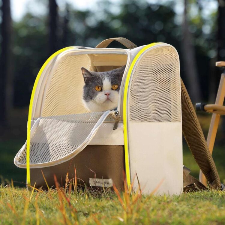 YakussCatBackpacka.jpg YakussCatBackpacka.jpg