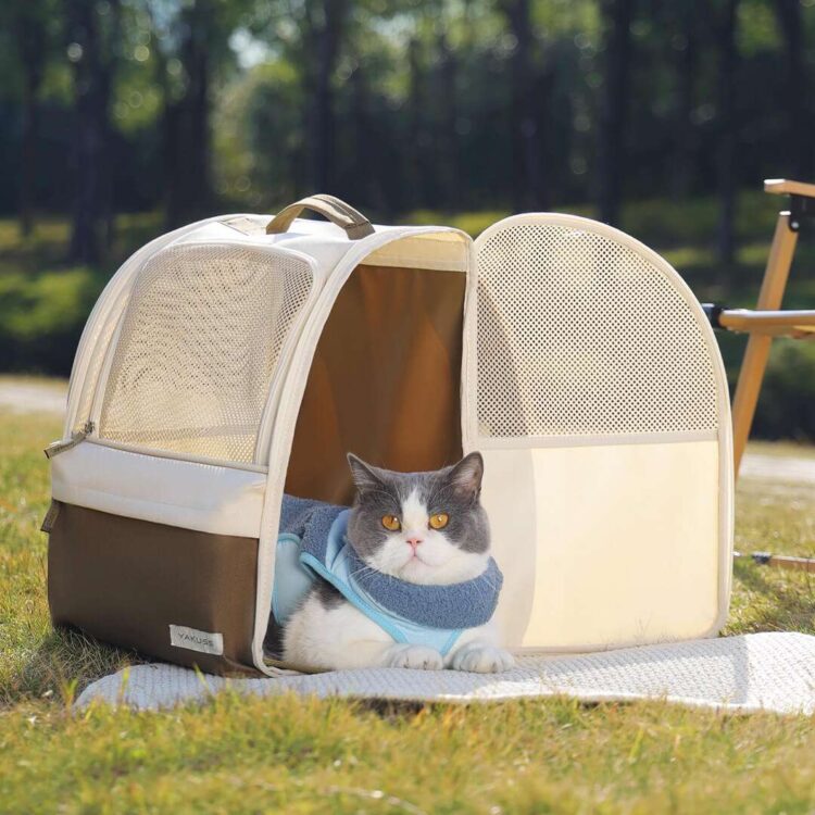 YakussCatBackpackb.jpg YakussCatBackpackb.jpg