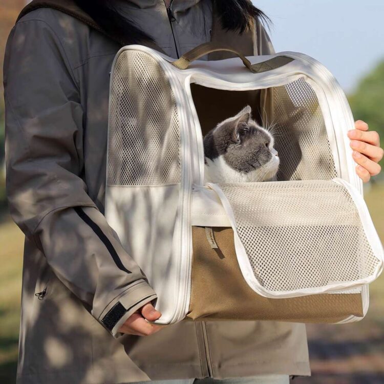 YakussCatBackpackc.jpg YakussCatBackpackc.jpg