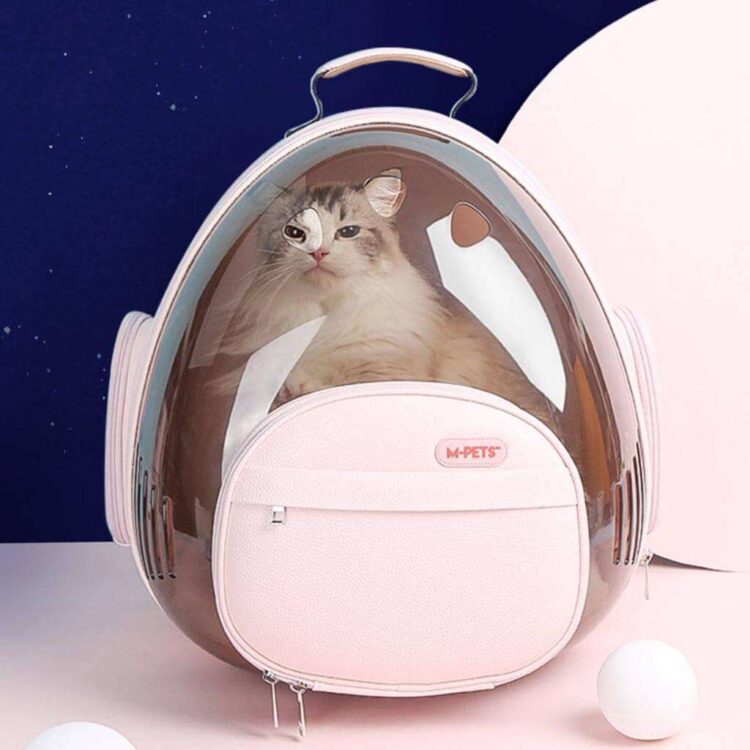 castronaut-space-cat-backpack-missymomo-12.jpg castronaut-space-cat-backpack-missymomo-12.jpg