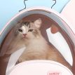 castronaut-space-cat-backpack-missymomo-4.jpg
