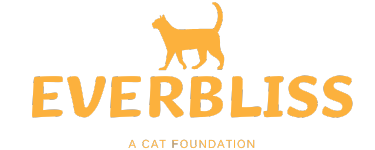 EverBliss Cat Store