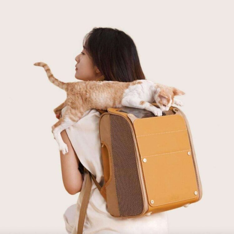 floof-voyager-cat-backpack-missymomo-2.jpg floof-voyager-cat-backpack-missymomo-2.jpg