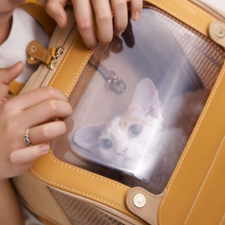 floof-voyager-cat-backpack-missymomo-3.jpg floof-voyager-cat-backpack-missymomo-3.jpg