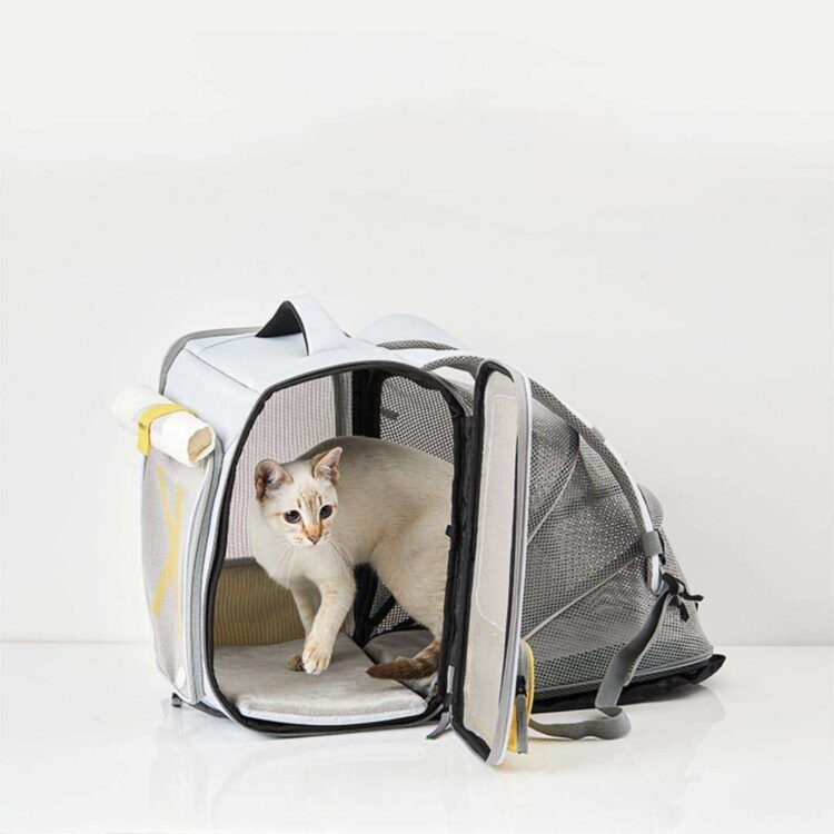 petkit-expandable-cat-backpack-missymomo-8.jpg petkit-expandable-cat-backpack-missymomo-8.jpg