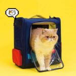 purlab-gameboy-expandable-cat-backpack-missymomo-2.jpg
