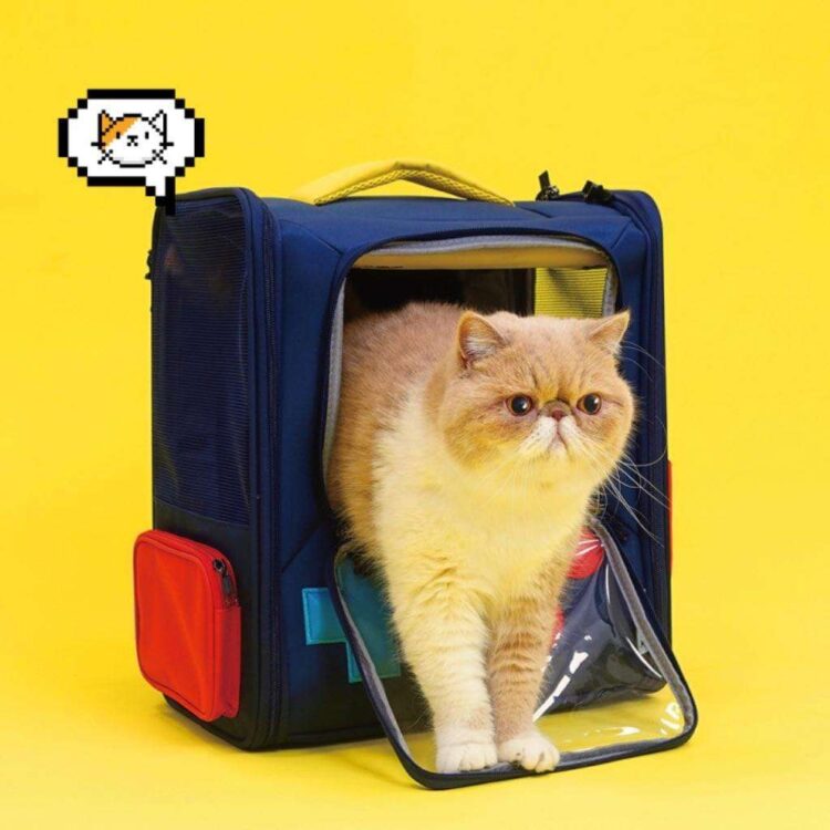 purlab-gameboy-expandable-cat-backpack-missymomo-2.jpg purlab-gameboy-expandable-cat-backpack-missymomo-2.jpg