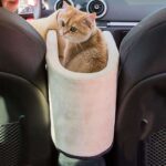 purry-cat-car-seat-carrier-missymomo-6.jpg