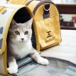 touchcat-cat-carrier-missymomo-7.jpg