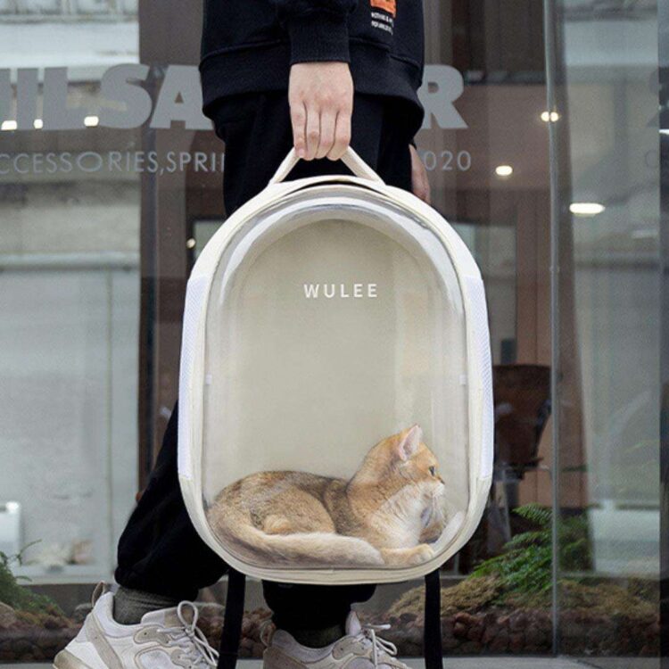 wulee-cat-backpack-missymomo-4.jpg wulee-cat-backpack-missymomo-4.jpg