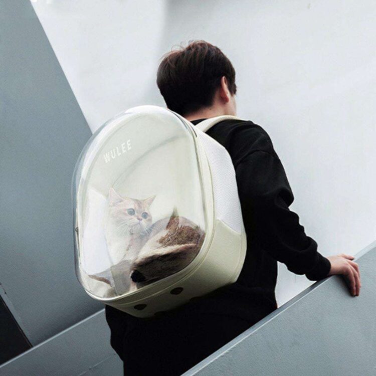 wulee-cat-backpack-missymomo-6.jpg wulee-cat-backpack-missymomo-6.jpg